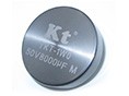 YKT-1W0 Hybrid Tantalum Capacitors Radial lead Heteropolarity screws