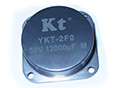 YKT-2F0 Hybrid Tantalum Capacitors