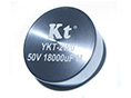 YKT-2W0 Hybrid Tantalum Capacitors Radial lead Heteropolarity screws
