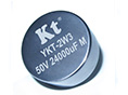 YKT-2W3 Hybrid Tantalum Capacitors Radial lead Heteropolarity 3 screws